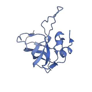 9572_5h1s_M_v1-2
Structure of the large subunit of the chloro-ribosome