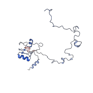 9572_5h1s_N_v1-2
Structure of the large subunit of the chloro-ribosome