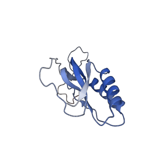 9572_5h1s_O_v1-2
Structure of the large subunit of the chloro-ribosome