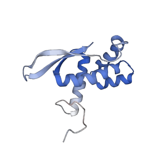 9572_5h1s_P_v1-2
Structure of the large subunit of the chloro-ribosome