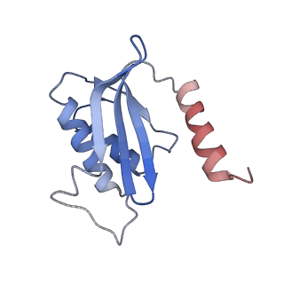9572_5h1s_Q_v1-2
Structure of the large subunit of the chloro-ribosome