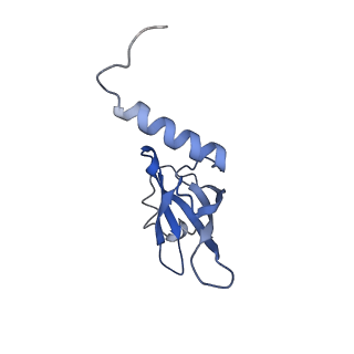 9572_5h1s_R_v1-2
Structure of the large subunit of the chloro-ribosome