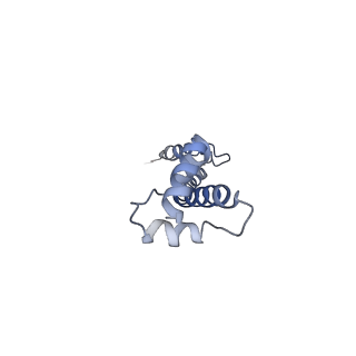 9572_5h1s_S_v1-2
Structure of the large subunit of the chloro-ribosome