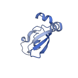 9572_5h1s_V_v1-2
Structure of the large subunit of the chloro-ribosome