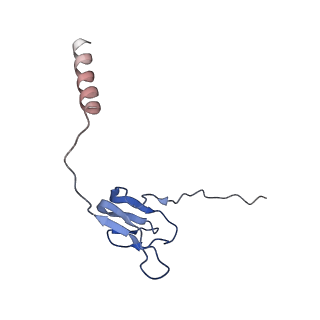 9572_5h1s_X_v1-2
Structure of the large subunit of the chloro-ribosome