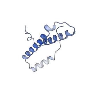 9572_5h1s_Z_v1-2
Structure of the large subunit of the chloro-ribosome
