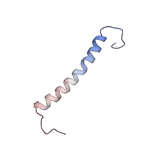 9572_5h1s_b_v1-2
Structure of the large subunit of the chloro-ribosome