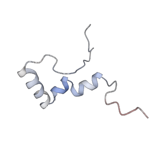 9572_5h1s_d_v1-2
Structure of the large subunit of the chloro-ribosome