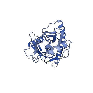0128_6h25_A_v1-1
Human nuclear RNA exosome EXO-10-MPP6 complex