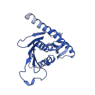 0128_6h25_B_v1-1
Human nuclear RNA exosome EXO-10-MPP6 complex