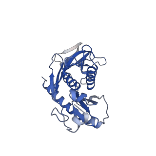0128_6h25_C_v1-1
Human nuclear RNA exosome EXO-10-MPP6 complex