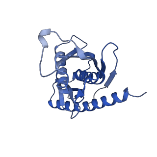 0128_6h25_D_v1-1
Human nuclear RNA exosome EXO-10-MPP6 complex