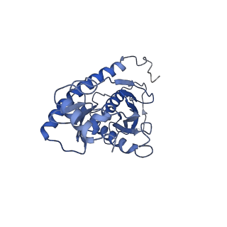 0128_6h25_E_v1-1
Human nuclear RNA exosome EXO-10-MPP6 complex