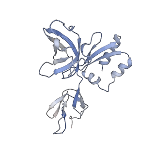 0128_6h25_G_v1-1
Human nuclear RNA exosome EXO-10-MPP6 complex