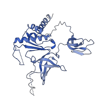 0128_6h25_H_v1-1
Human nuclear RNA exosome EXO-10-MPP6 complex