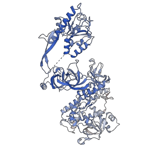 0128_6h25_J_v1-1
Human nuclear RNA exosome EXO-10-MPP6 complex