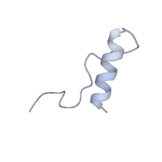 0128_6h25_K_v1-1
Human nuclear RNA exosome EXO-10-MPP6 complex