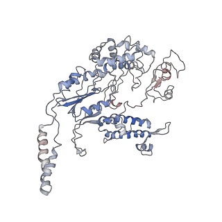 33039_8h2h_D_v1-0
Cryo-EM structure of a Group II Intron Complexed with its Reverse Transcriptase