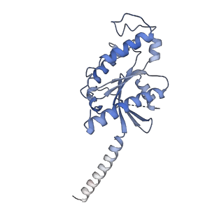 34437_8h2g_B_v1-0
Cryo-EM structure of niacin bound human hydroxy-carboxylic acid receptor 2 in complex with Gi heterotrimer