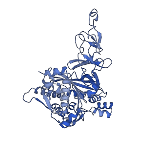 34443_8h2t_D_v1-1
Cryo-EM structure of IadD/E dioxygenase bound with IAA