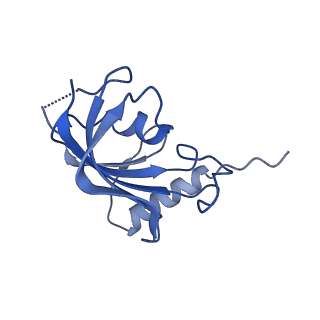 0133_6h3i_B_v1-3
Structural snapshots of the Type 9 protein translocon