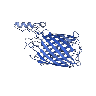 0133_6h3i_F_v1-3
Structural snapshots of the Type 9 protein translocon