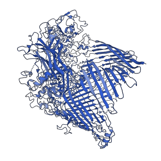 0134_6h3j_A_v1-3
Structural snapshots of the Type 9 protein translocon Plug-complex