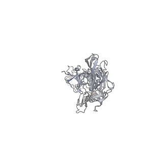 0135_6h3l_C_v1-1
Structure of VgrG1 in the Type VI secretion "pre-firing" VgrG1-Tse6-EagT6-EF-Tu-Tsi6 complex