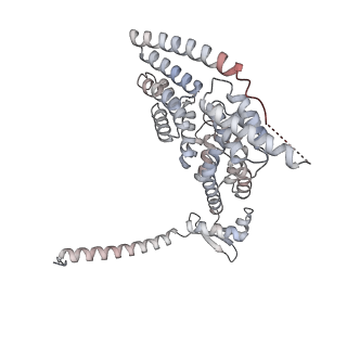 34455_8h38_A_v1-0
Cryo-EM Structure of the KBTBD2-CRL3~N8-CSN(mutate) complex
