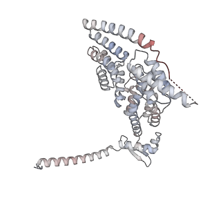 34455_8h38_A_v1-1
Cryo-EM Structure of the KBTBD2-CRL3~N8-CSN(mutate) complex