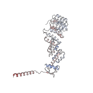 34455_8h38_B_v1-0
Cryo-EM Structure of the KBTBD2-CRL3~N8-CSN(mutate) complex