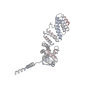 34455_8h38_D_v1-0
Cryo-EM Structure of the KBTBD2-CRL3~N8-CSN(mutate) complex
