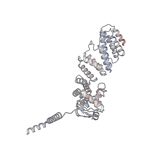 34455_8h38_D_v1-1
Cryo-EM Structure of the KBTBD2-CRL3~N8-CSN(mutate) complex