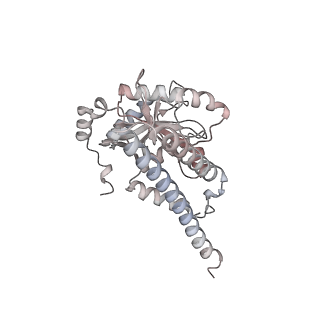 34455_8h38_E_v1-0
Cryo-EM Structure of the KBTBD2-CRL3~N8-CSN(mutate) complex