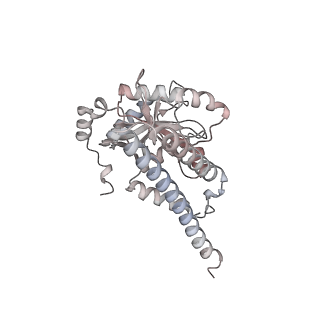 34455_8h38_E_v1-1
Cryo-EM Structure of the KBTBD2-CRL3~N8-CSN(mutate) complex