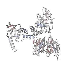 34455_8h38_I_v1-0
Cryo-EM Structure of the KBTBD2-CRL3~N8-CSN(mutate) complex
