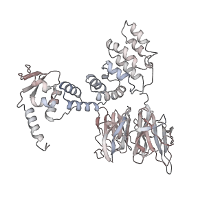 34455_8h38_I_v1-1
Cryo-EM Structure of the KBTBD2-CRL3~N8-CSN(mutate) complex