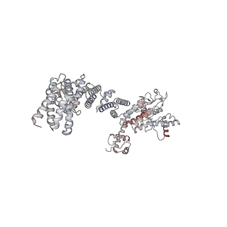 34455_8h38_L_v1-0
Cryo-EM Structure of the KBTBD2-CRL3~N8-CSN(mutate) complex