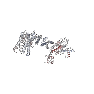 34455_8h38_L_v1-1
Cryo-EM Structure of the KBTBD2-CRL3~N8-CSN(mutate) complex