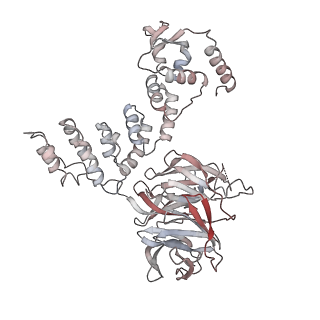 34455_8h38_M_v1-0
Cryo-EM Structure of the KBTBD2-CRL3~N8-CSN(mutate) complex