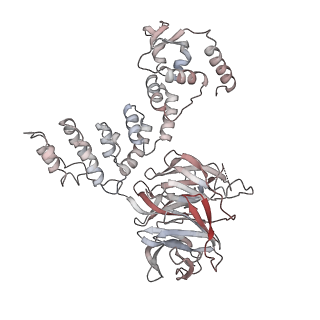 34455_8h38_M_v1-1
Cryo-EM Structure of the KBTBD2-CRL3~N8-CSN(mutate) complex