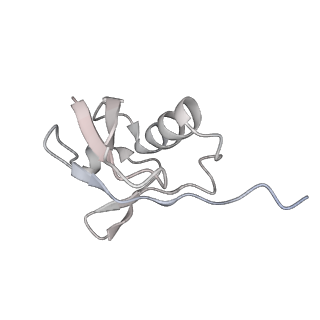 34455_8h38_N_v1-0
Cryo-EM Structure of the KBTBD2-CRL3~N8-CSN(mutate) complex