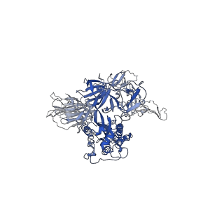 34464_8h3d_B_v1-0
Structure of apo SARS-CoV-2 spike protein with one RBD up