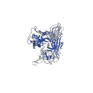 34464_8h3d_C_v1-0
Structure of apo SARS-CoV-2 spike protein with one RBD up