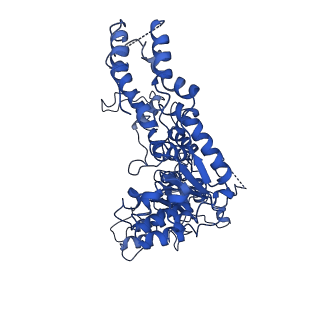 34468_8h3h_B_v1-0
Human ATAD2 Walker B mutant, ATP state