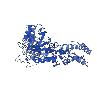 34468_8h3h_D_v1-0
Human ATAD2 Walker B mutant, ATP state