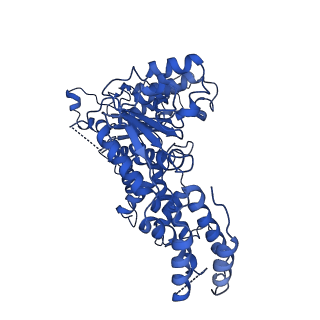 34468_8h3h_E_v1-0
Human ATAD2 Walker B mutant, ATP state