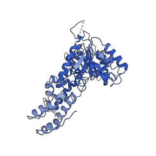 34468_8h3h_F_v1-0
Human ATAD2 Walker B mutant, ATP state