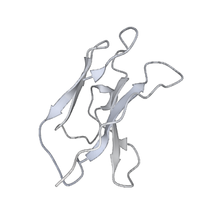 34470_8h3n_I_v1-3
Conformation 2 of SARS-CoV-2 Omicron BA.1 Variant Spike protein complexed with MO1 Fab