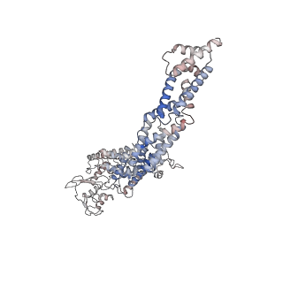 34473_8h3q_C_v1-0
Cryo-EM Structure of the CAND1-Cul3-Rbx1 complex